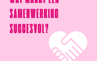 Wat maakt een samenwerking succesvol?